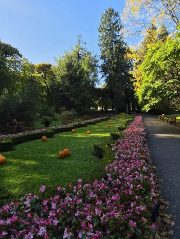 FB_IMG_1792177659408