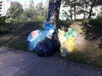 70806510_377914623119725_8104939961448398848_n