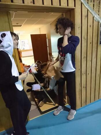 80391313_3374580825948036_6200849988398874624_n