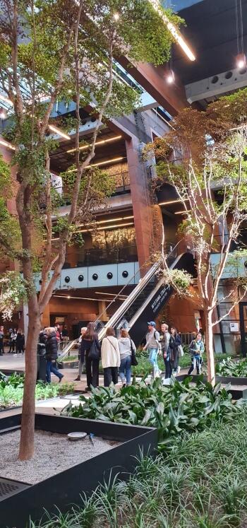 87043199_275198520118889_8619222382013317120_n