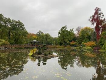 IMG_20211015_065817_870