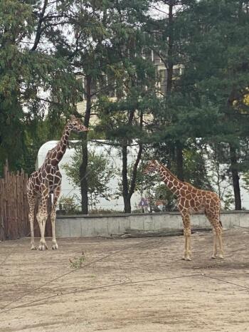 IMG_20211015_065838_965