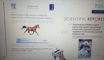 IMG_20211016_1034243