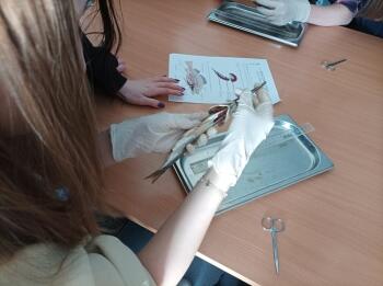 275010901_707982910573430_552630525493108183_n