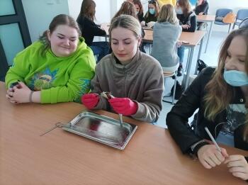 275026423_493563742211739_4604266061471504753_n