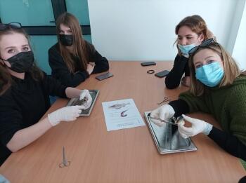 275112235_498639391758416_2301753304389559839_n