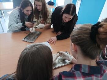 275116537_1145377802960791_6427986037266112849_n