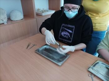 275182831_996480631303075_8353107190144007118_n