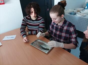 275200629_1761938894148597_545316835188341143_n