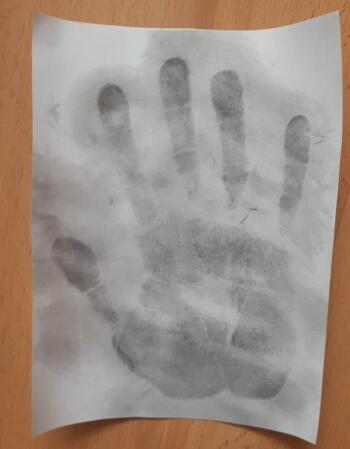 336623287_514491197319135_5375591958117265628_n