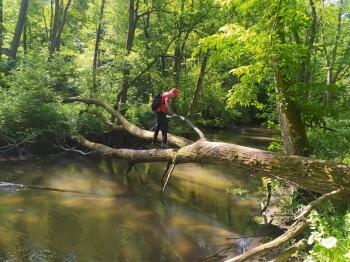 348905588_113096075144597_7406245751128874526_n