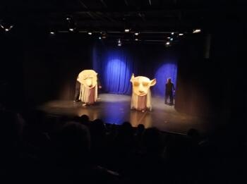 5d6c3d01-fc95-4f19-963a-64492e190159