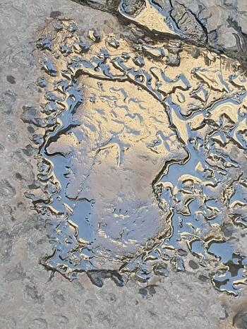 7f7d138a-4d7b-44c9-9abd-c5e3f28f6509