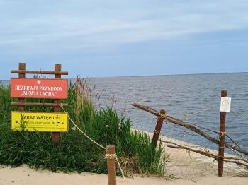 IMG_20240524_124806042