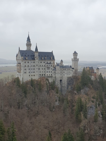 482213491_1220020096794481_7781823389724592807_n