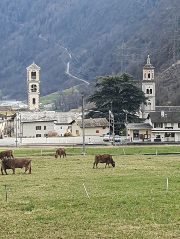 482222700_1220809863382171_7642519280210619846_n