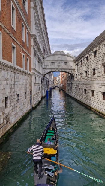 482243360_1223208113142346_5129654345863372811_n