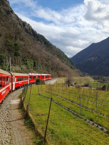 482243048_1220809570048867_6271102996988046026_n