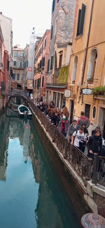 482246122_1223208086475682_4921576936515758659_n