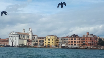 482250590_1223208239809000_6319786643889031128_n