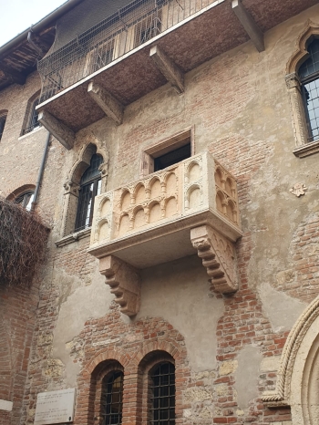 482248829_1222796479850176_4850233955517460457_n