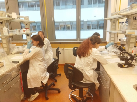 Zajęcia laboratoryjne na Wydziale Biologii UG